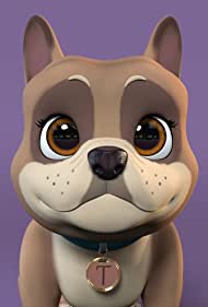 Смотреть The Adventures of Tikki the Wonder Dog (2021) онлайн в HD качестве 720p